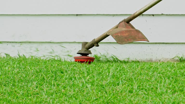 Best Pest Control for Lawns  in Morgan City, LA